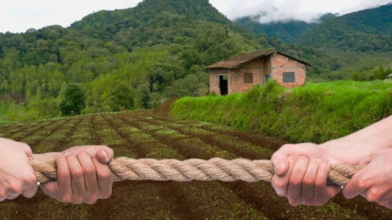 Land and Property Issues